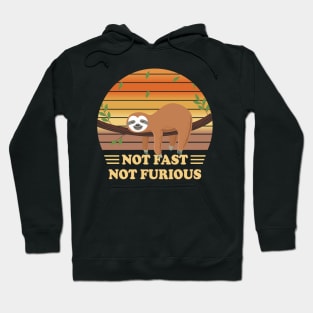 Not Fast Not Furious Sloth Hoodie